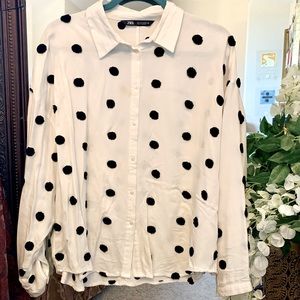Zara embroidered polka dot button down